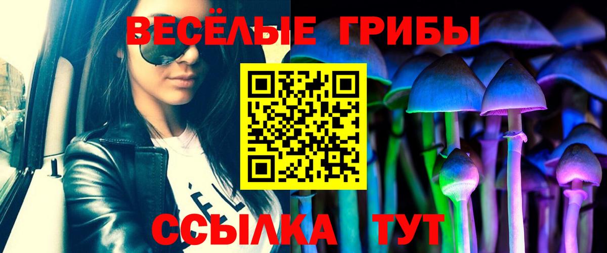 Павловский Посад  Псилоцибиновые грибы прущие грибы  Вход с VPN 